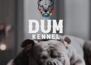 Dum Kennel - Logo design