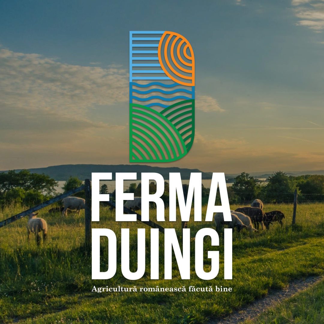 Ferma Duingi Logo Design